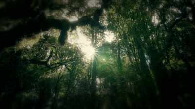 The sun's getting
higher, and we're tired. - Mother Undercover