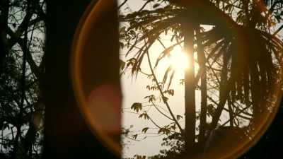 The sun's now making
its way right overhead - Lost Treasures of the Maya