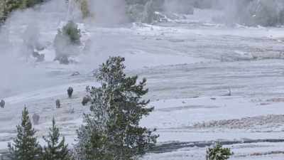 The super volcano beneath
the Earth's surface fights - Yellowstone: One-Fifty