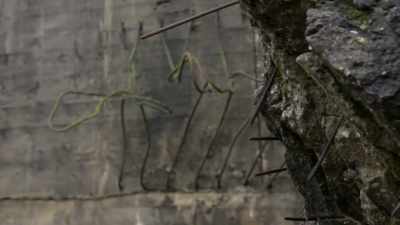 The surfaces that you were
working on would be mangled, - Secret Nazi Ruins