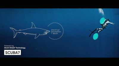The surfboard product is
on generation number two, - Envoy: Shark Cull
