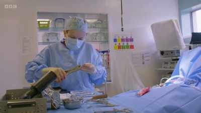 The surgery requires specialist kit,
and other tools - 24/7 Pet Hospital