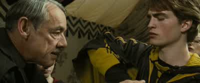 The Swedish Short-Snout. - Harry Potter and the Goblet of Fire