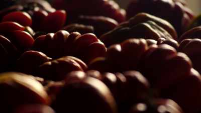 The sweeter ones
grow in the valleys, - Eva Longoria: Searching for Mexico