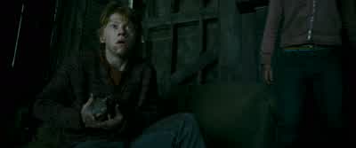 The tail I could live with. - Harry Potter and the Prisoner of Azkaban