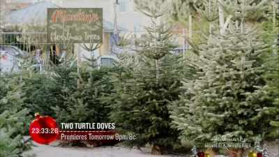 The tallest one I've got
is about 10 feet. - Nostalgic Christmas