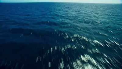 The team start their search - Blue Planet II