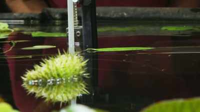 The technology is working well, - The Green Planet