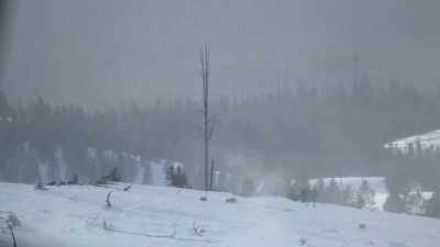 The temperature here can get - Yellowstone: One-Fifty