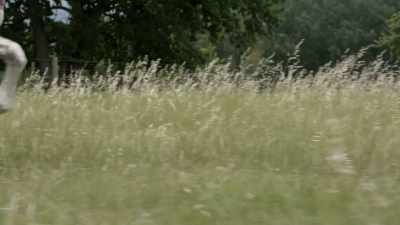 THE TERRAIN IS EXTREMELY
ROUGH AND RUGGED AND - Origins: The Journey of Humankind