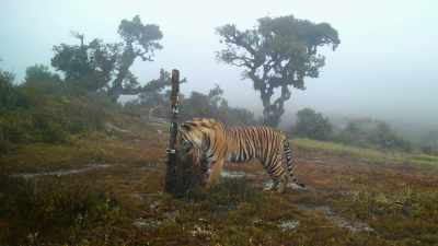 The terrain is so inaccessible - Our Great National Parks