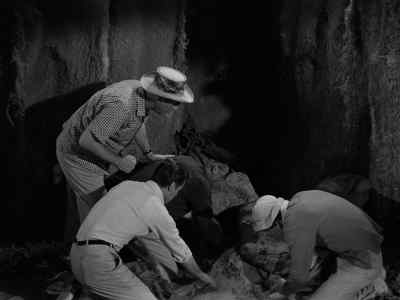 The-the jewels
must be in there. - Gilligan's Island