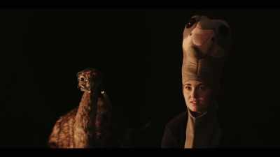 - The, the Prime Minister sent an agent - The Emu War