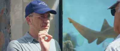 The theory of evolution requires small, - Is Genesis History?