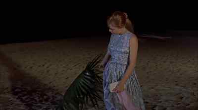  The thing is, dear, - Gidget Goes Hawaiian