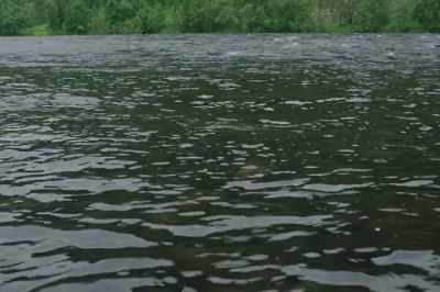 The thing is, we lost one thing
here and we lost respect for the
ecosystem. - Artifishal
