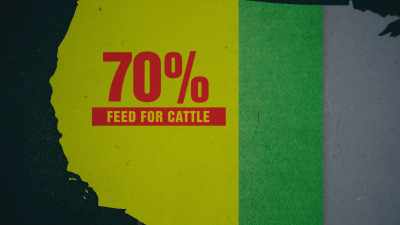 THE THINGS THAT WE ACTUALLY
EAT, LIKE FRUIT, VEGETABLE, - Before the Flood