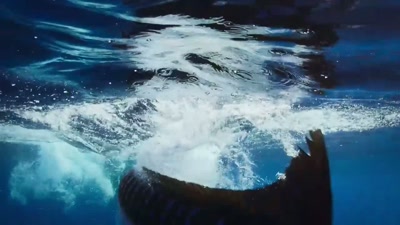 'The thrashing
attracts even more trouble. - A Year on Planet Earth