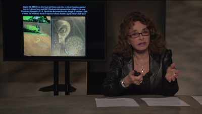 The three star like objects
on the alien's shoulder - Truth Hunter