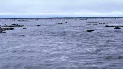 "The tide drops too fast." - Secrets of the Whales