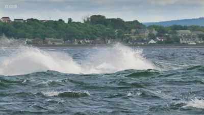 The tide is rising,
and this is when the fish - Wild Isles