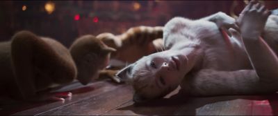 The time has come to make the Jellicle choice - Cats