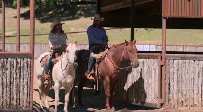 The timer stops
when you screw up the order of calves. - How to Be a Cowboy