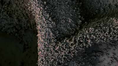 ..the tiny particles - The Green Planet