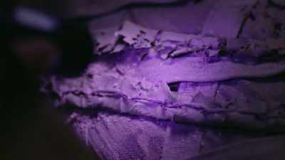The tiny white spots suggest
there may be ancient mould - Tutankhamun: Secrets of the Tomb