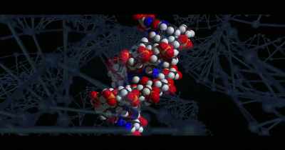 ... that the tons of complex
 specified information, or CSI, - The End of Quantum Reality