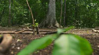 The toxic chemicals
they contain - The Green Planet
