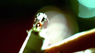 The trace on these components
came back positive for dynamite. - CSI: Miami