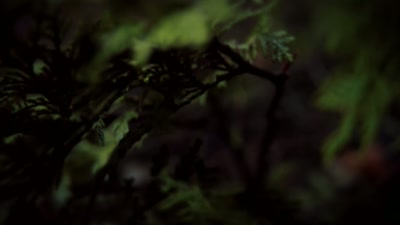 The trackers call in what they found. - How I Caught My Killer