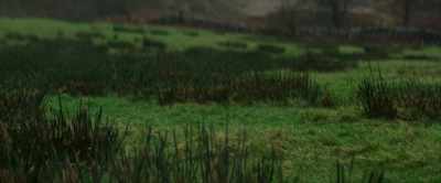 The tragedy is you'll find it - The Ghost of Richard Harris
