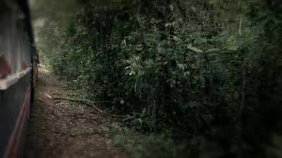 The train stops, - Mother Undercover