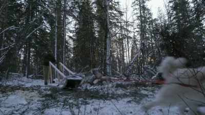 The training regimen
in the winter time, - Life Below Zero: Next Generation