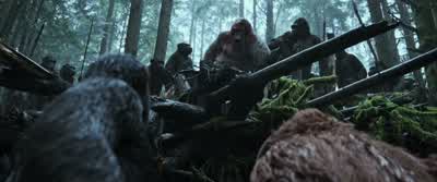 The traitor attacked me! - War for the Planet of the Apes