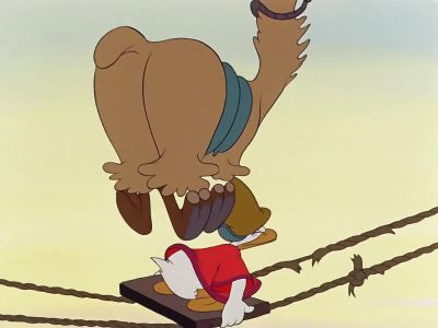 The traveler should be cautioned against - Saludos Amigos