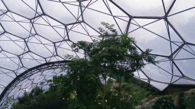 The trees could penetrate the dome itself - Europe From Above