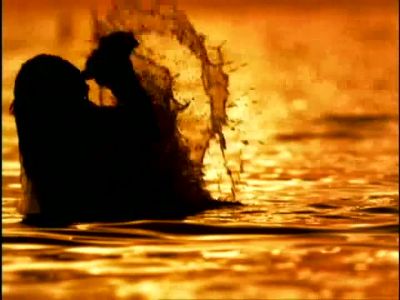 The tribe has spoken - Survivor
