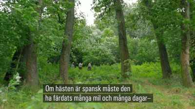 The trick is concealment.
Thieves have a born instinct, - Jamestown
