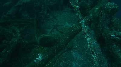 THE TROUBLE IS, THEY'LL BE
NOTHING FOR US TO DISCOVER - Mysteries of the Deep