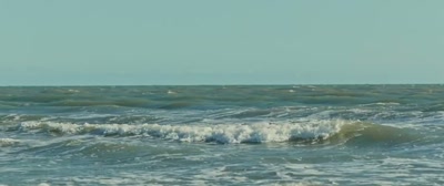 The two married on 16 June 2003 - Wild Seas