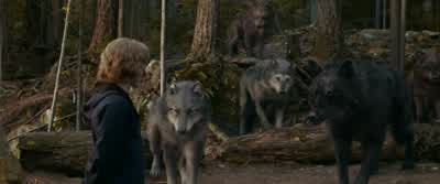 Now the two most important things to remember are firstnever let them get their arms around you They'll crush you instantlyAnd secondnever go for the obvious killThey'll be expecting thatand you will lose - The Twilight Saga: Eclipse
