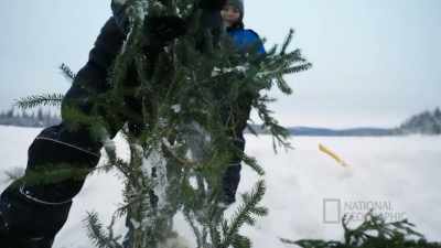 The type of stuff
we've been teaching them - Life Below Zero: First Alaskans