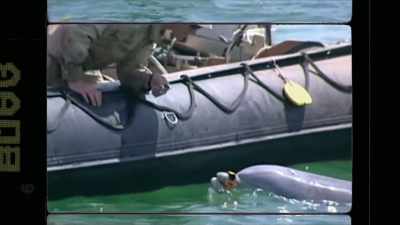 - The Ukrainians
are using divers - The UnBelievable with Dan Aykroyd