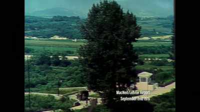 The UN Command Force
begin their trimming work on the tree... - Inside North Korea's Dynasty
