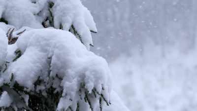 The unexpected
heavy snowfall will continue - Snowy with a Chance of Christmas