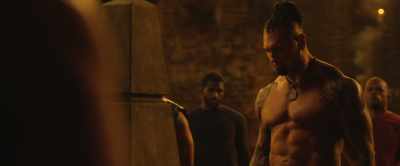 The universe is composed of particles. - Kickboxer: Vengeance