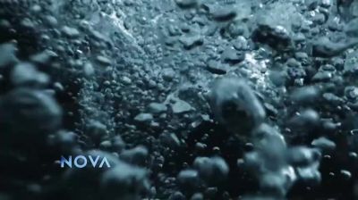 The universe itself
is awash with water. - Nova